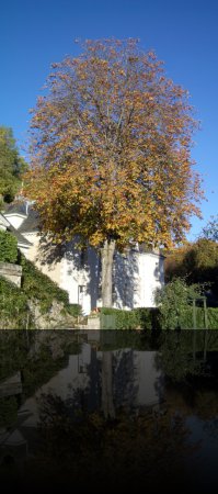 Vouvray Autumn 2004